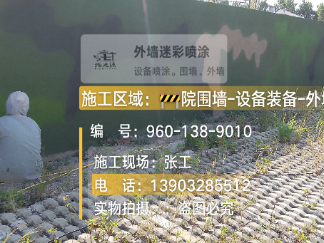 芜湖外墙迷彩漆材料价约 45-60 元 /k