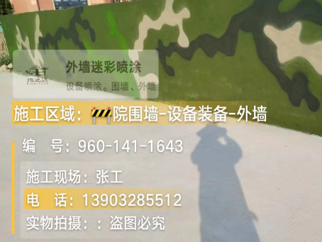 芜湖 迷彩漆喷涂价格（按平方米计费）