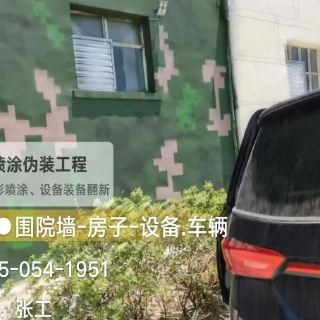 芜湖数码迷彩漆施工
